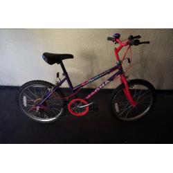 Used Echo Ridge Magna Bike. Perfect for children 8+