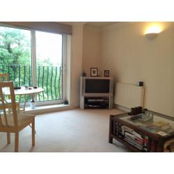 Luxury double room to rent in modern apartment