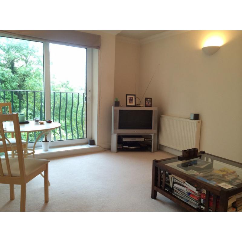 Luxury double room to rent in modern apartment