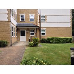 Luxury double room to rent in modern apartment