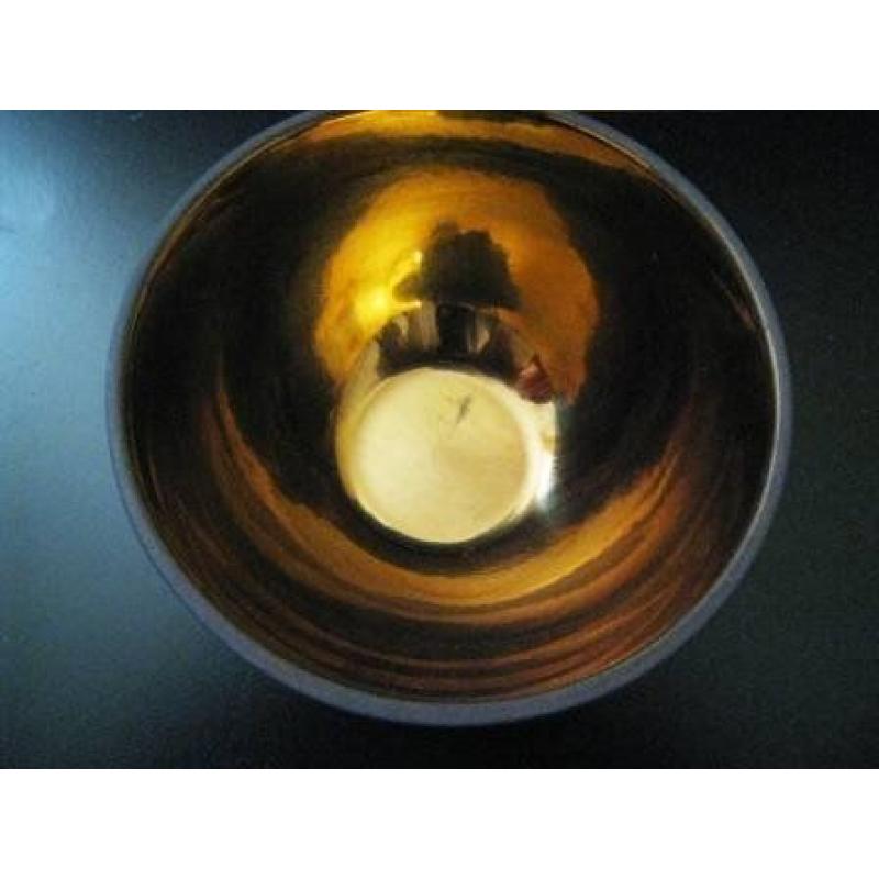 Wedgwood Accent Bowl - Fine Bone China - New -150 POUNDS