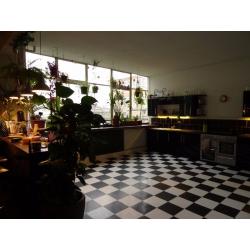 2 massive rooms in warehouse in seven sisters,bills included 630pcm and 650 pcm , creatives welcome