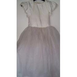 Stunning Flowergirl Dress