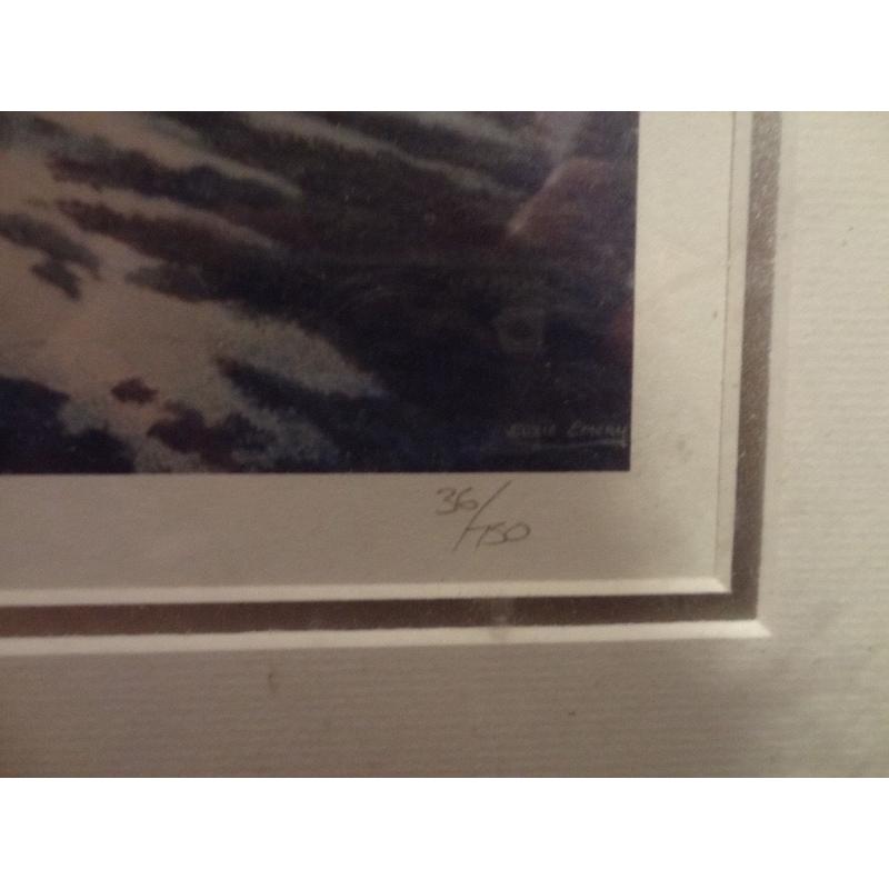 Framed limited edition Dolphin print