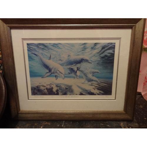 Framed limited edition Dolphin print
