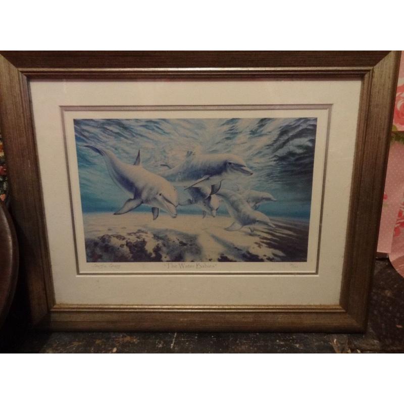 Framed limited edition Dolphin print