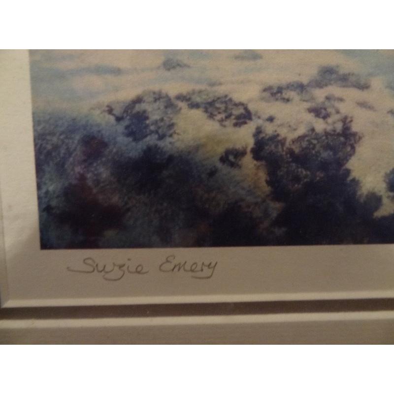 Framed limited edition Dolphin print