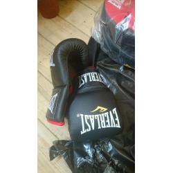 4ft Everlast Boxing Bag with Accessories