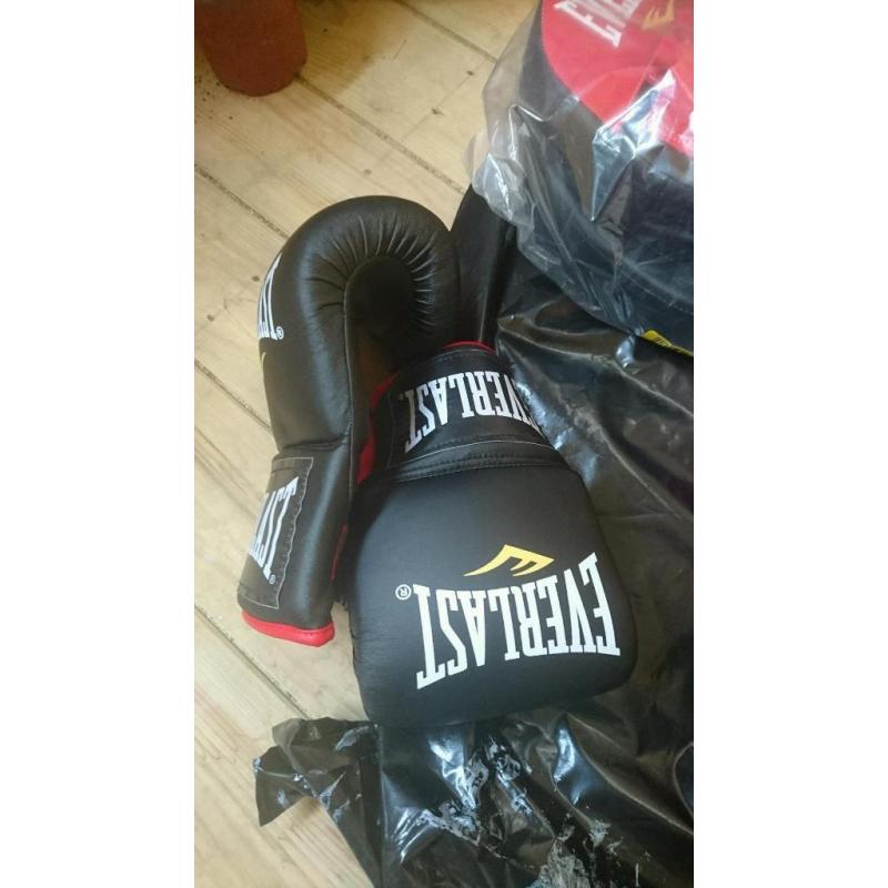 4ft Everlast Boxing Bag with Accessories