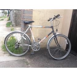 Emmelle Panther Hybrid Bike