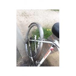 Emmelle Panther Hybrid Bike