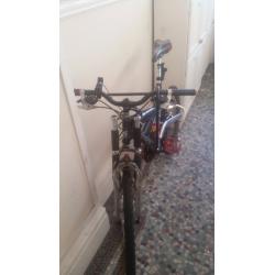Rhino Bicycle + U-lock + Helmet + Reflective vest