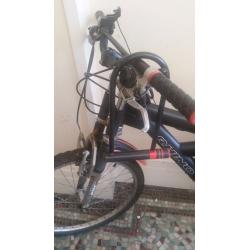 Rhino Bicycle + U-lock + Helmet + Reflective vest