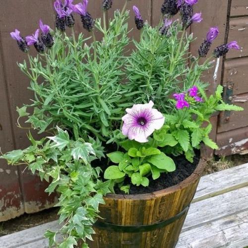 Custom-Made Planters