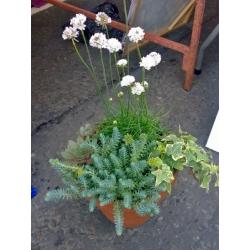 Custom-Made Planters