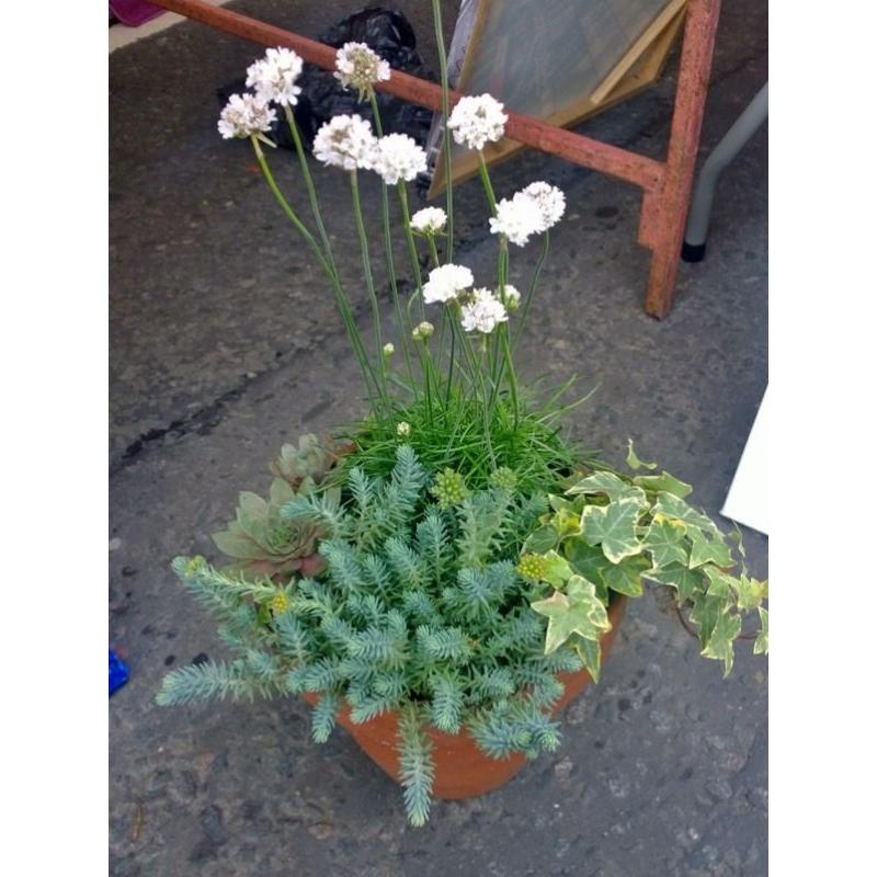 Custom-Made Planters