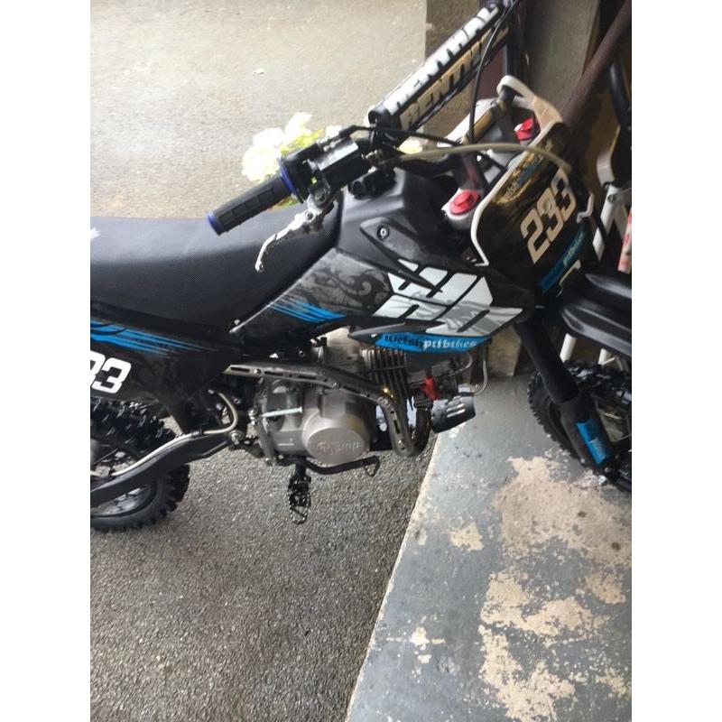 Pit bike 140 stomp
