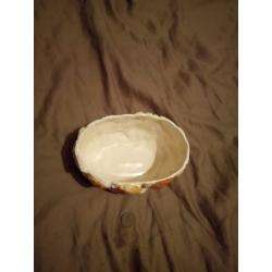 4161 sylvac shell bowl/planter ?? seaside nautical