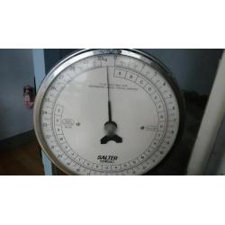 30kg salter scales