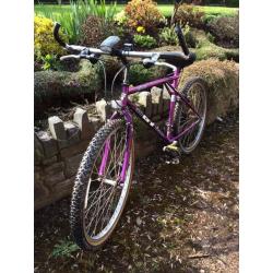 GT carerra bike