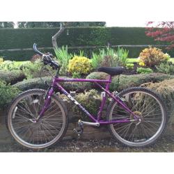 GT carerra bike