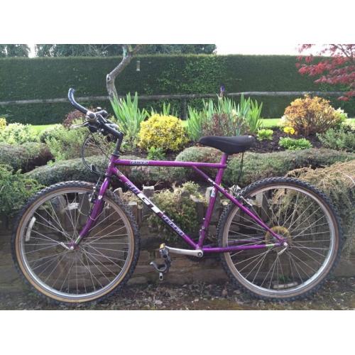 GT carerra bike
