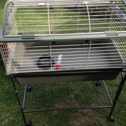 Rabbit Guinea pig hutch and cage