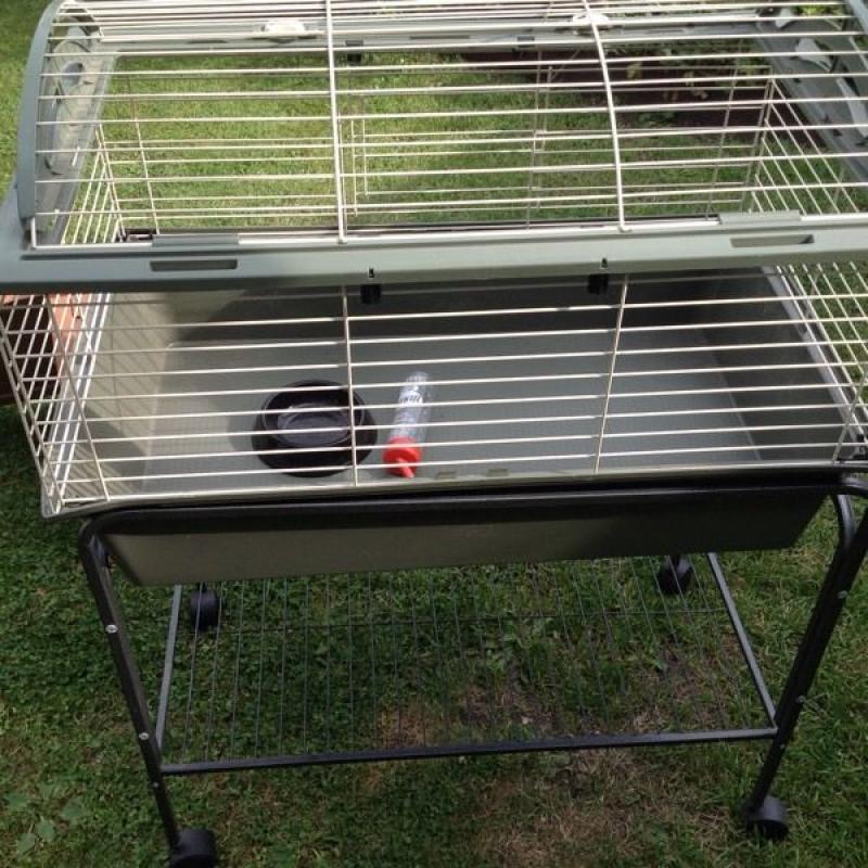 Rabbit Guinea pig hutch and cage