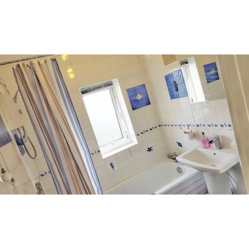 Bright Single Room Available