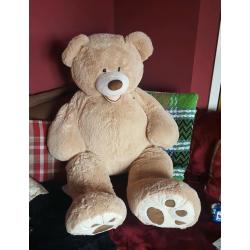 Giant Huge Teddy Bear
