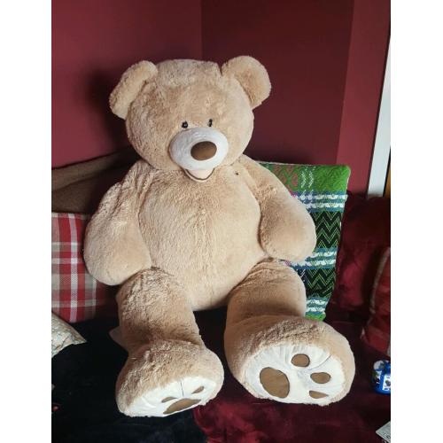 Giant Huge Teddy Bear