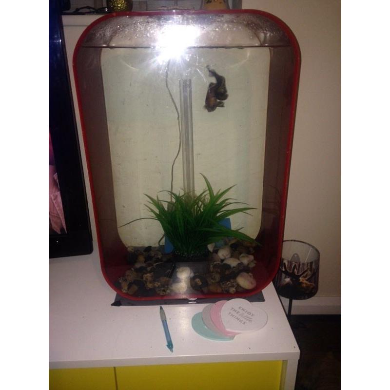 biOrb Life Large Fish Tank