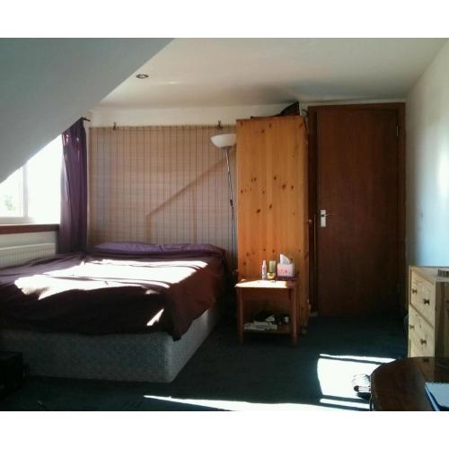 Single room 9-31.08