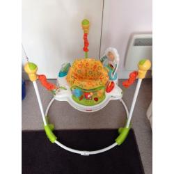Fisher Price Sunny Days Jumperoo
