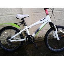 Giant Mountain bike for boy
