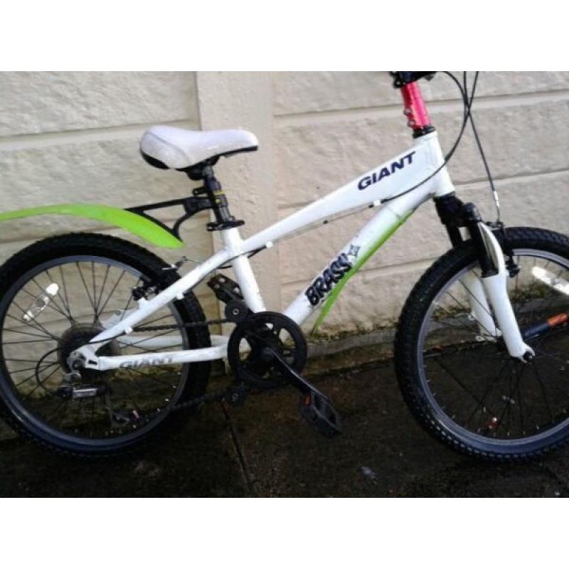 Giant Mountain bike for boy