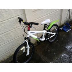 Giant Mountain bike for boy