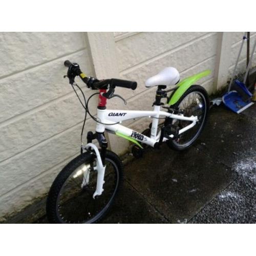 Giant Mountain bike for boy