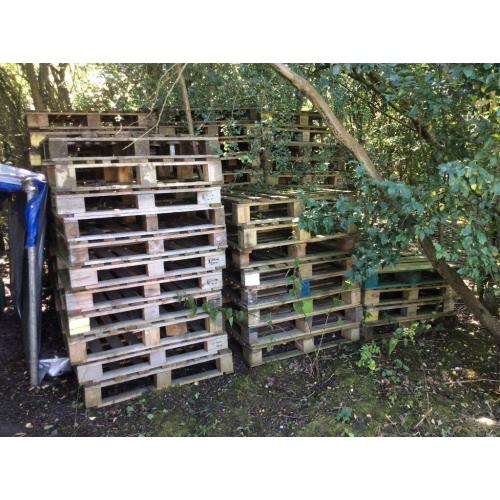 59 Wooden Euro Paletts