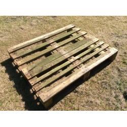 59 Wooden Euro Paletts
