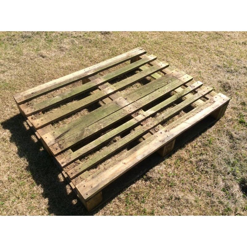 59 Wooden Euro Paletts