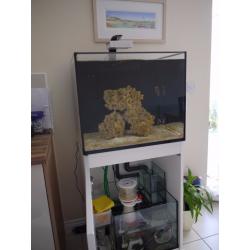 Red Sea Reefer 170 in White