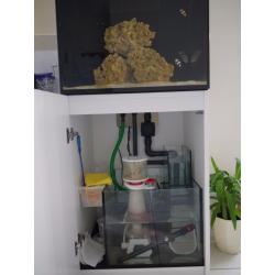 Red Sea Reefer 170 in White