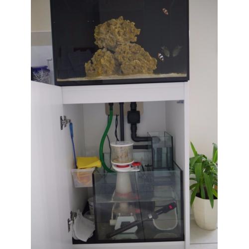 Red Sea Reefer 170 in White