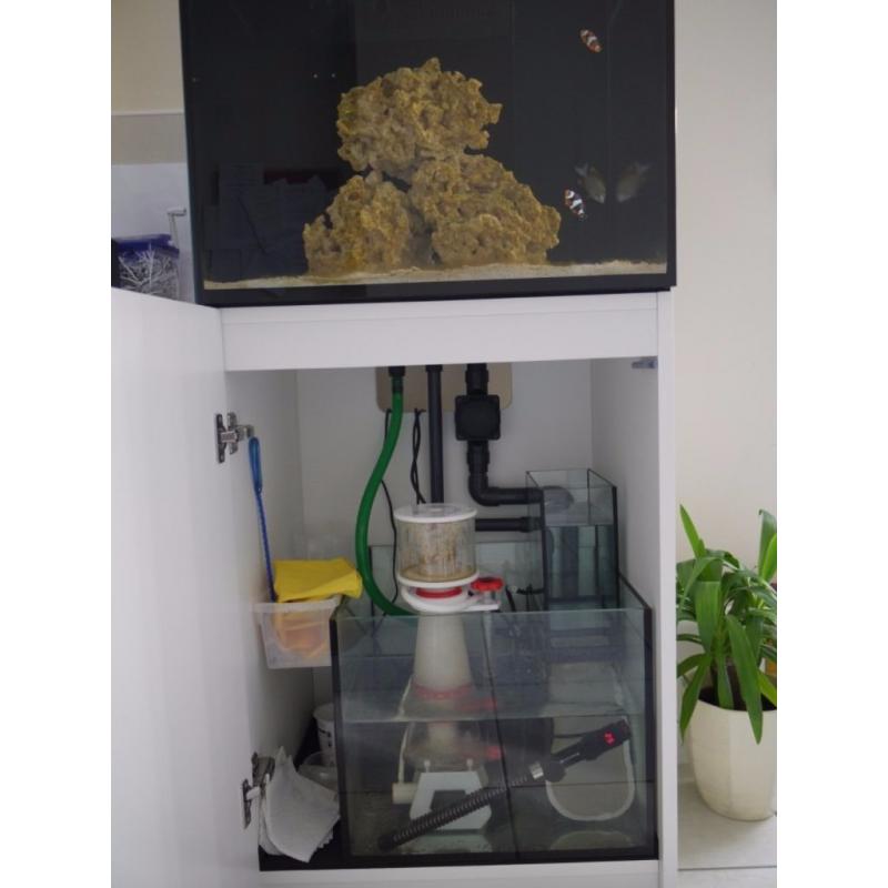 Red Sea Reefer 170 in White