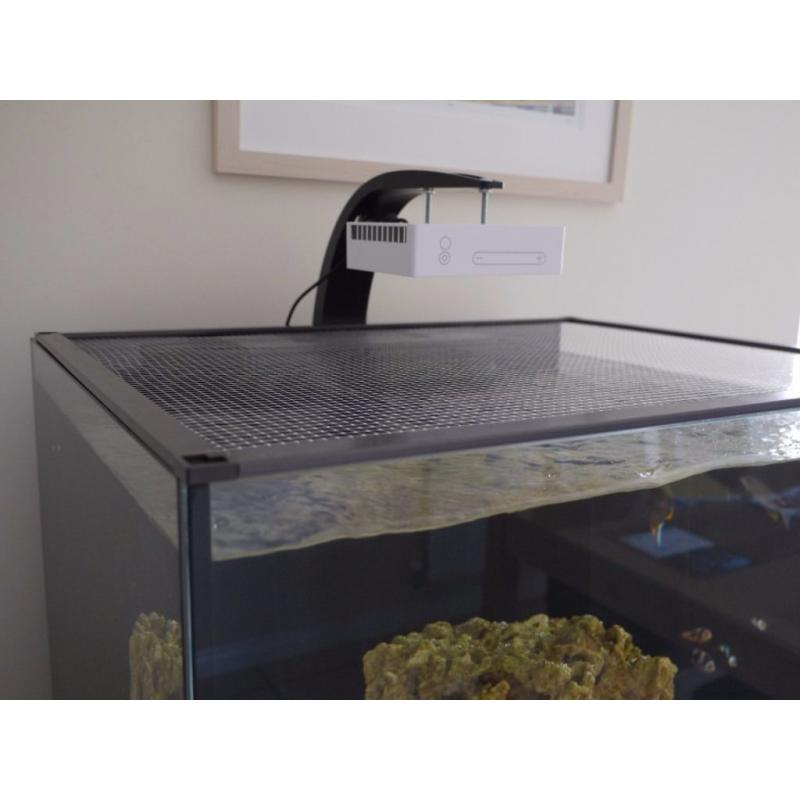 Red Sea Reefer 170 in White