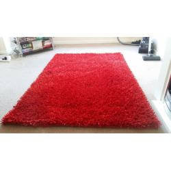 Bright Red Rug in excellent condition