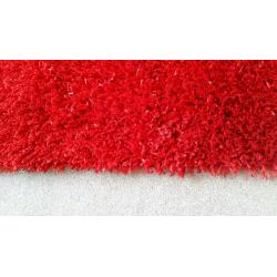 Bright Red Rug in excellent condition