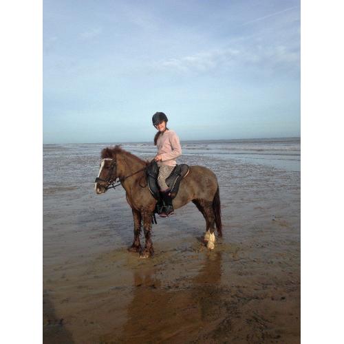 Pony for part loan