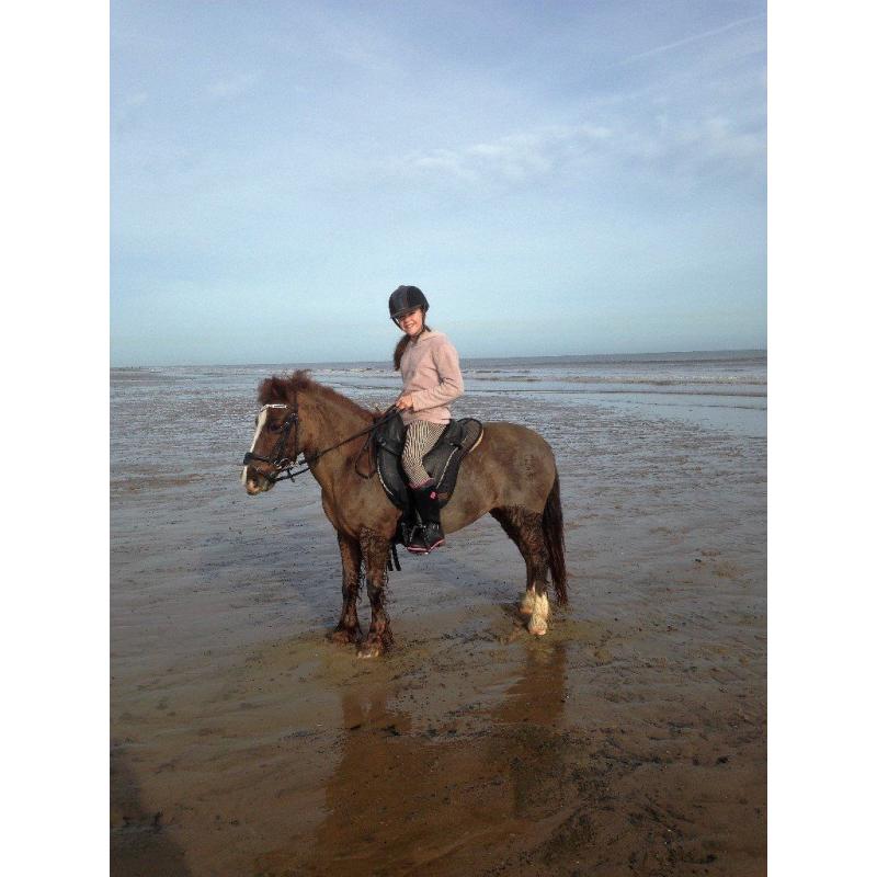 Pony for part loan